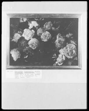 Blumenstudie