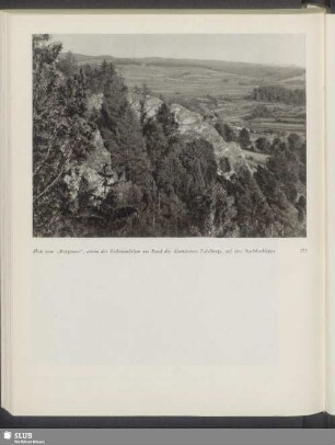 Blick vom "Morgentor", einem der Zechsteinfelsen am Rand des Altensteiner Tafelbergs, auf eine Nachbarklippe