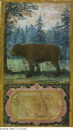 Diesen Behr haben Ihre Churfürstl. Durchl. ...den 12. Novembris 1628 gefangen