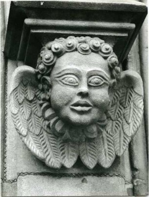Das Freiburger Münster