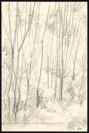 Zeichenübungen und Skizzen: Skizze Wald