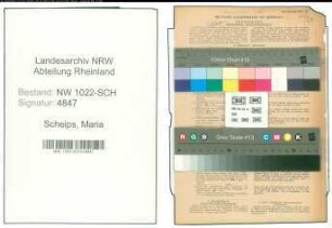 Entnazifizierung Maria Scheips , geb. 25.04.1888 (Lehrerin)