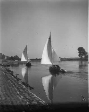Dresden. Segelboote auf der Elbe zwische Blasewitz und Pillnitz