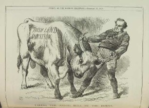 Taking the (Irish) bull by the horns
