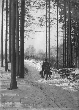 Heimweg mit erlegtem Fuchs
