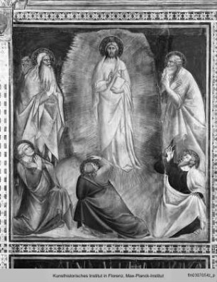Szenen des Neuen Testaments : Transfiguration Christi