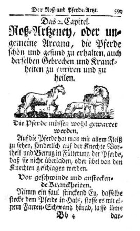Das 2. Capitel. Von Roß-Artzeneyen.