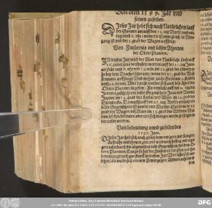 Von dem 1599. Jar / und seinen zufellen.