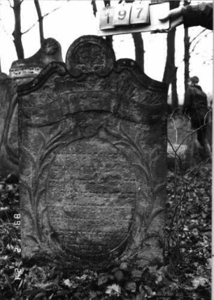 Grabstein 197 (Index: 99752067) Material: Sandstein Zustand: stark verwitt. mit fast völl. Textverlust Maße HxBxT: 124x73x10 cm Beschreibung: Stele, Volutenabschluß m. Mittelakroter, ovales Schriftfeld eingetieft Symbolik: Ranken, Schriftband: Grabstein 197