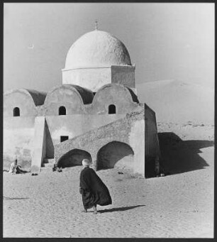 Oase der Souf-Region : Gebäude mit Kuppel- und Tonnegewölbsdächern an einer Oase der Souf-Region in der Nähe der algerischen Stadt El Oued.