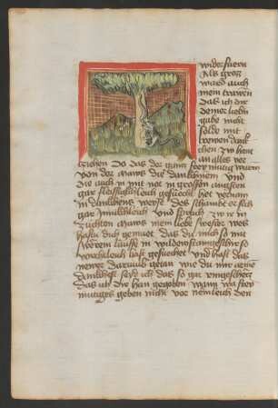 Maus und Seidenraupe