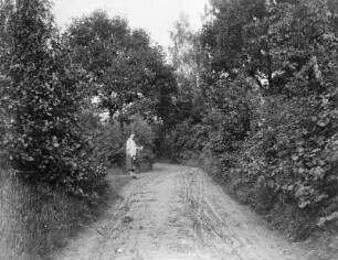 Mittelsachsen, Frau an einem Waldweg : Mittelsachsen. Frau an einem Waldweg