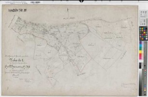 Billerbeck, Kspl. (Billerbeck), Zusammenlegung Holthausen-Gantweg, Urkarte I Flur L