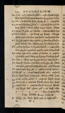195-204, Cap. XVIII - XX