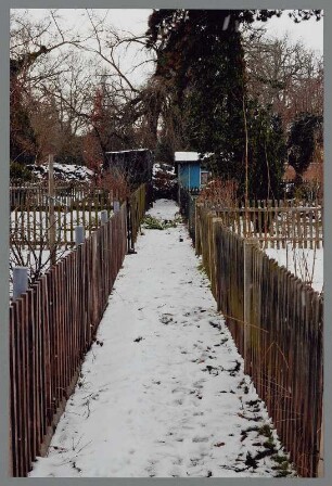 Verschneiter Gartenweg mit Gartenlauben, Pegau