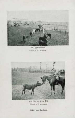 Bilder aus Flandern. 106. Pferdeweide. 107. Der verliebte Esel. Bilder aus Flandern.