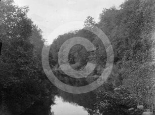 Flusslandschaft bei Lettin