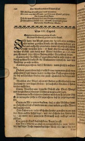 598-621, Capitel XIII. - Capitel XV.