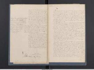Organisation der Bürgerwehr und Schutzvereine und deren Bewaffnung
