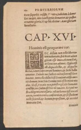 Cap. XVI.