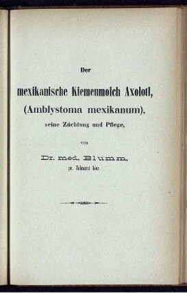 Der mexikanische Kiemenmolch Axolotl, (Amblystoma mexikanum), seine Züchtung und Pflege.