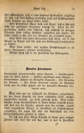 Viertes Abenteuer. Unerwartetes Zusammentreffen zweier Freunde …
