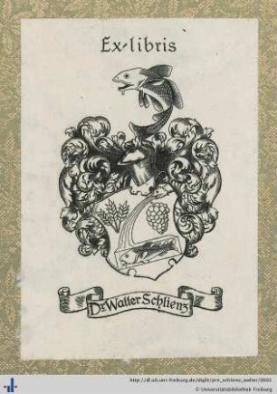 [Provenienz]: Schlienz, Walter