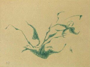 Flug II