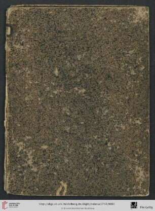 Casulae S. Stephani Regis Hungariae Vera Imago Et Expositio