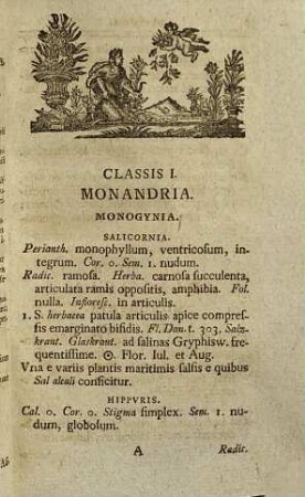 Florae Gryphicae Svpplementvm Herbationibvs Accomodatvm