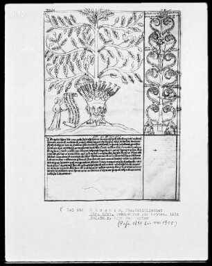 Evangeliar aus Metten — Teil mit theologischen und symbolischen Darstellungen — ---, Folio 96recto
