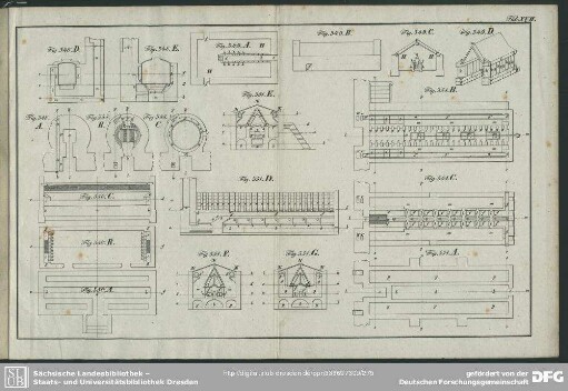 Tab. XVII.