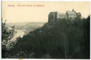 Leisnig. Blick aufs Schloss und Muldental