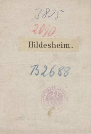3825 Hildesheim, Cover