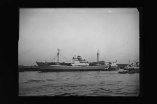 Christianna Pikuritz (1954), Frachtschiff, Atlanta-Schiffahrts GmbH, Hamburg, Bau-Nr. 562