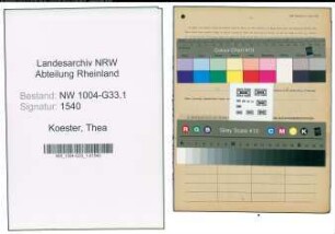 Entnazifizierung Thea Koester , geb. 30.05.1896 (Schulleiterin)