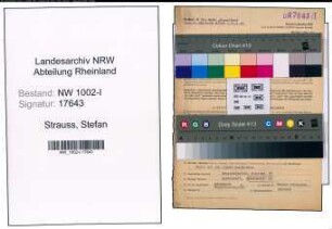 Entnazifizierung Stefan Strauss, geb. 21.03.1885 (Werkmeister)