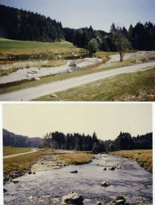 Verlegte Argen bei Oberau