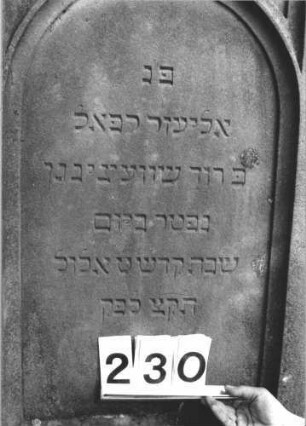 Grabstein 230 (Detailaufnahme 1)