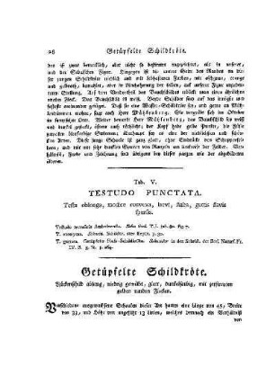 Tab. V. Testudo Punctata : Getüpfelte Schildkröte