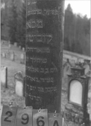 Grabstein 296 (Index: 100009318) Maße HxBxT: 210x40x40 cm Beschreibung: Grabstein in Form einer abgebrochenen Säule: Grabstein 296A