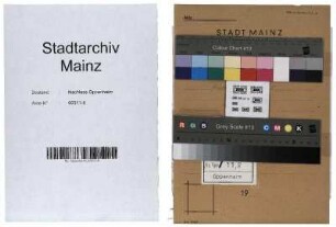 Gedanken zum neuen Aufbau der Stadt Mainz