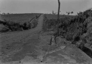 Straße von Santa Maria da Serra nach Torrinha : Straße durch eine Senke von Santa Maria da Serra nach Torrinha. Rechts und links der Straße Grasland mit einzelnen Bäumen.