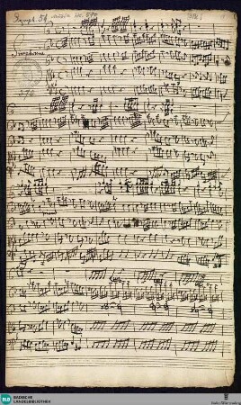 Symphonies - Mus. Hs. 570 : vl (2), vla, cor (2), b; F; BrinzingMWV 7.66