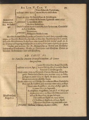 Ad Caput VI. De Familia Ducum Brunosvicensium, [et] Lunaeburgensium.