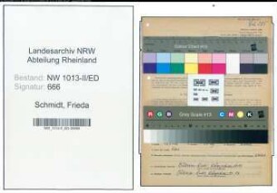 Entnazifizierung Frieda Schmidt , geb. 26.01.1901 (Lehrerin)