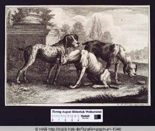 Hunderassen