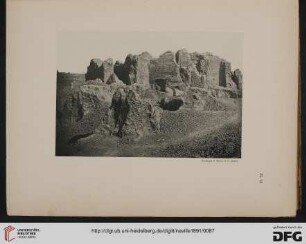 Plate II - LIV
