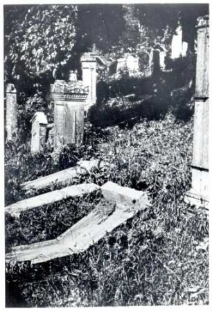 Hechingen, BL; Jüdischer Friedhof, zum Teil umgestürzte Grabsteine
