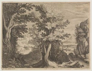Eine bewaldete Landschaft